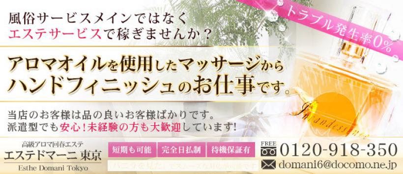 エステドマーニ東京の求人