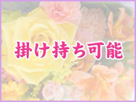 掛け持ちOK