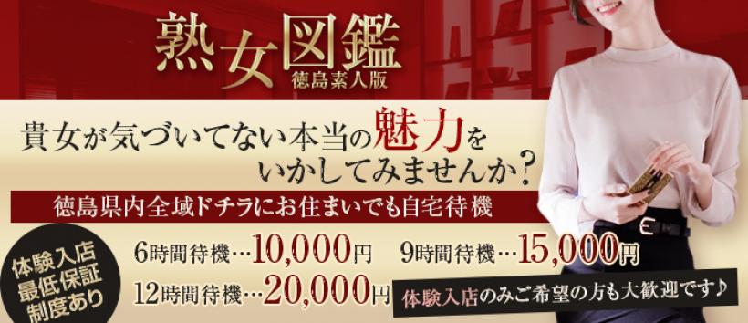 熟女図鑑　徳島素人版の求人