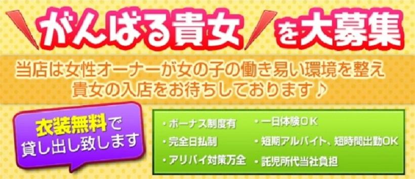 奥様だよ！全員集合の求人