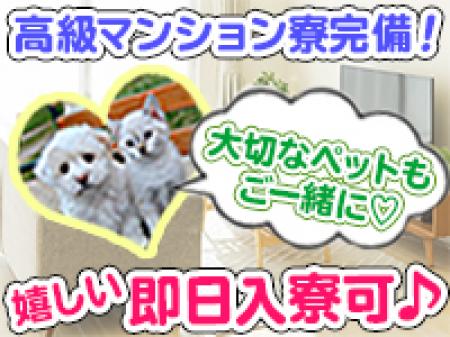 遠方からの出稼ぎ大歓迎!