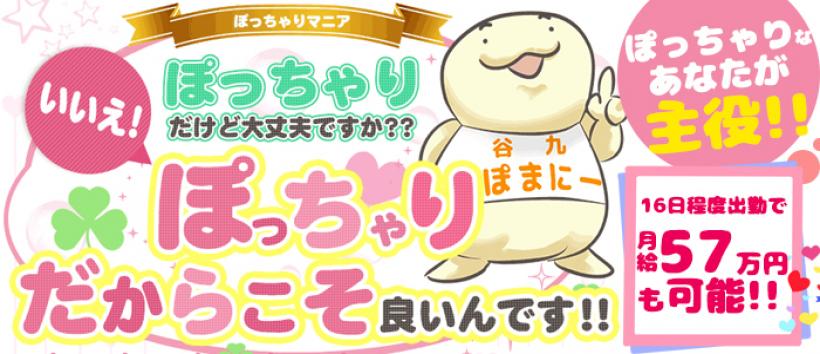 大阪ぽっちゃりマニア谷九店の求人