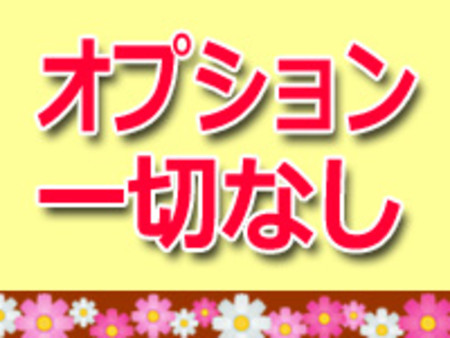 過激なオプション一切ナシ！
