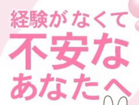 未経験者歓迎!