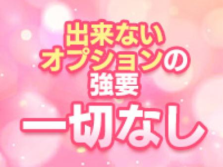 オプションの強要一切なし!