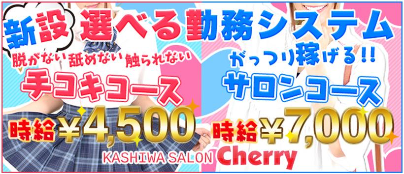 チェリーの求人