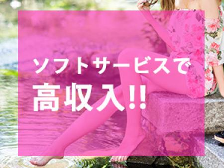 ソフトサービスで高収入！