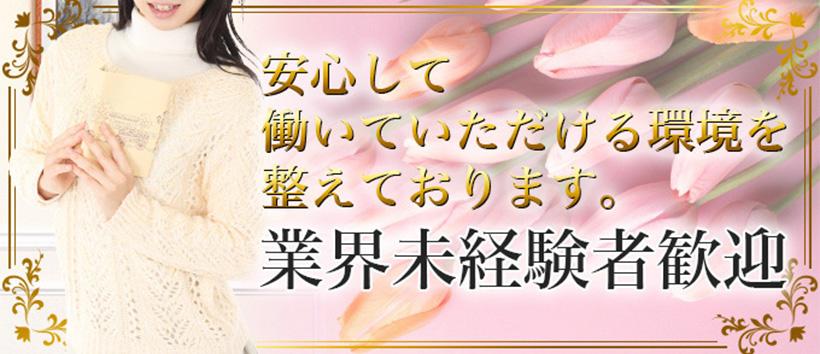 アラモードの求人