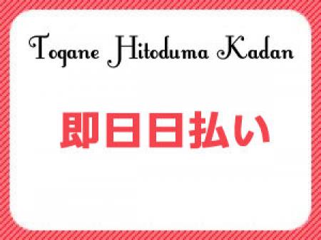 完全日払い制！
