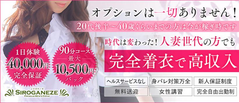 シロガネーゼ