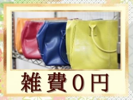 引きものなし！