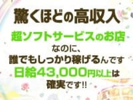 安心！安定の高収入！