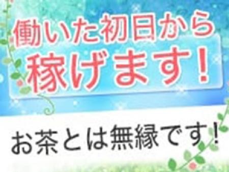 毎日がお給料日！
