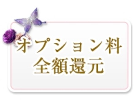 オプション料　全額還元