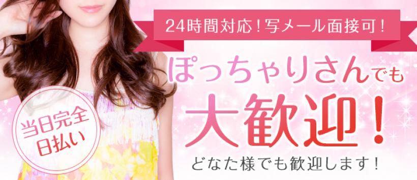なでしこ姫の求人