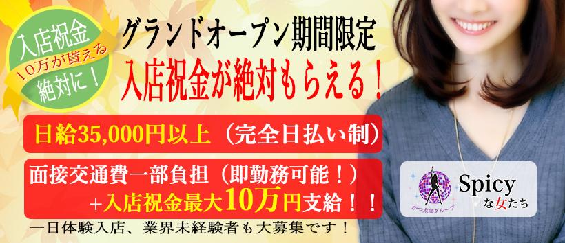 Spicyな女たちの求人