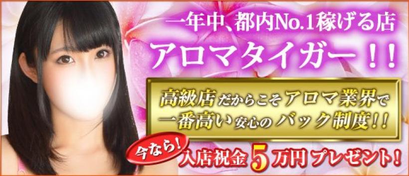 アロマタイガー　恵比寿店の求人