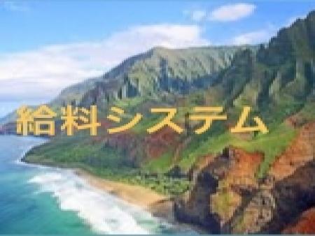 チャットレディのお給料システムは??