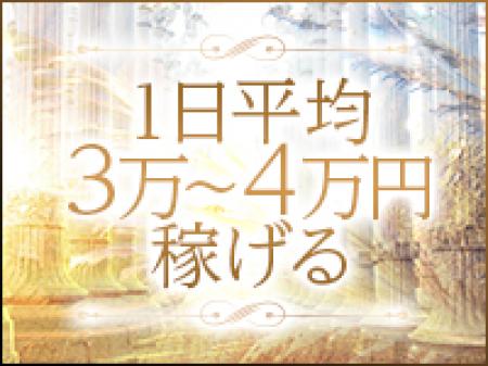 オプションがなんとフルバック！