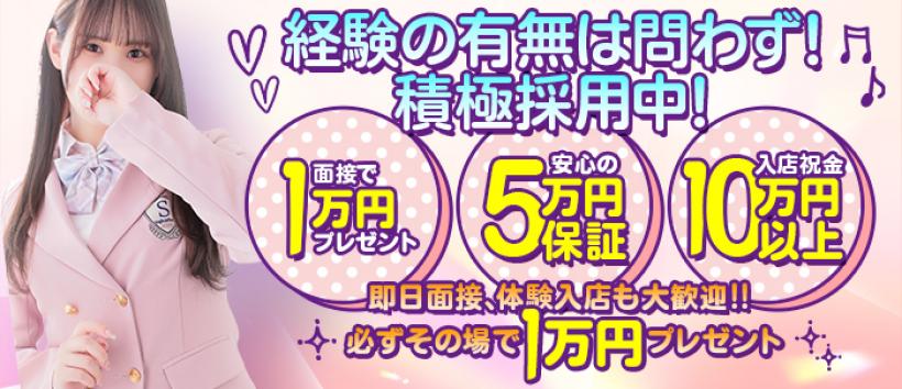 ELUMO(エルモ)の求人