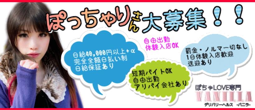 ぽちゃラブ専門　バニラの求人