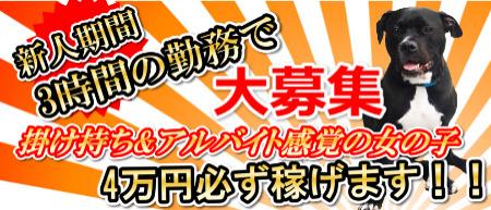 短時間でも高収入をお約束!