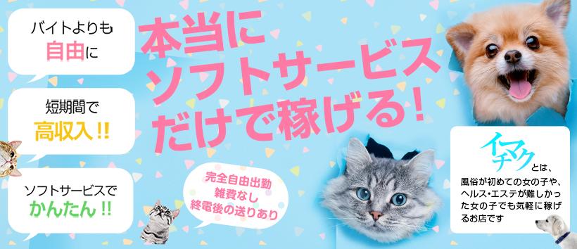 今から乳首を犯しにいってもいいですか？大阪店の求人