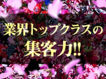 安定した収入が望めます!!