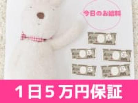 今日のお給料は？？