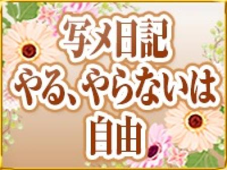 写メ日記　やる、やらない自由