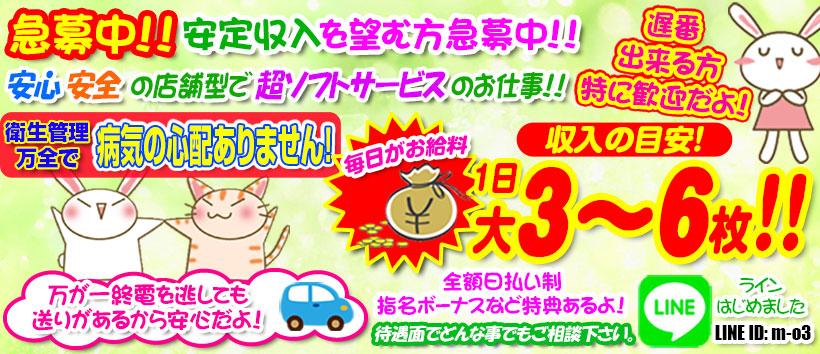 O3パートⅡ(おーすりーぱーとつー)
