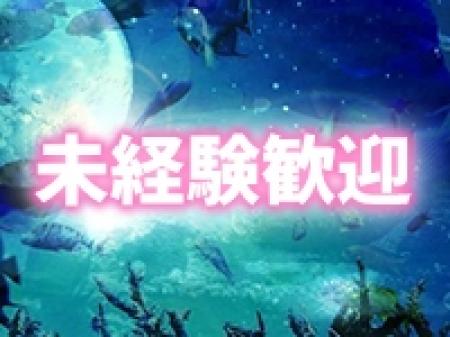 未経験者大歓迎！
