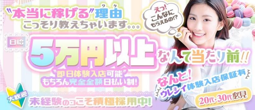 激安！奥様特急　つくば・研究学園最安！の求人