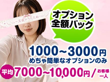 オプション全額バック