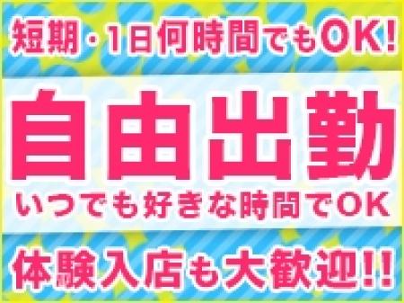 完全に自由出勤です!