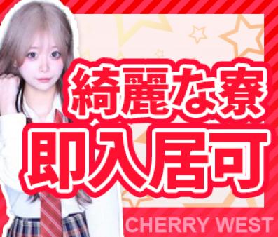 綺麗なワンルームマンション寮完備!