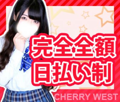 安心の完全全額日払い制!