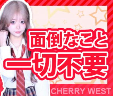 面倒なことは一切不要です!