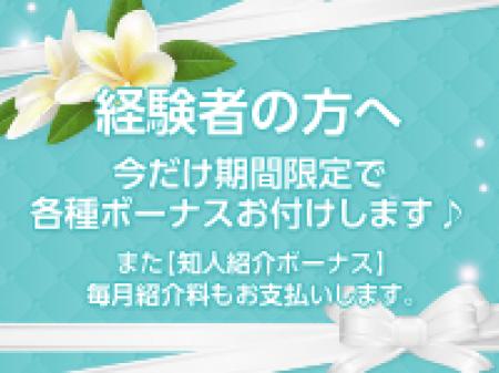 期間限定!