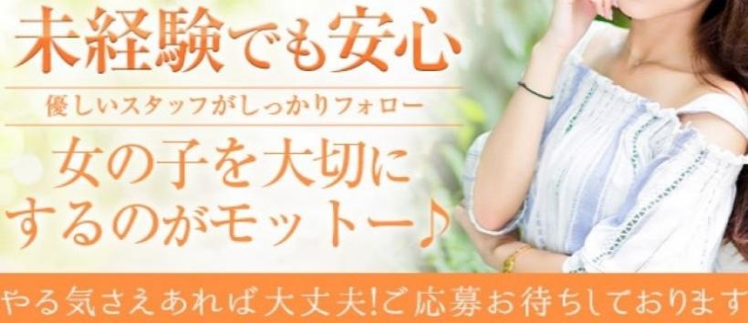 レインボーローズの求人
