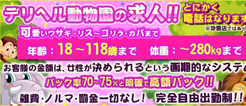 デリヘル動物園　柏店の求人