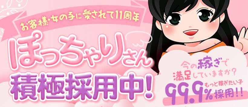 激安の伝道ボッキホーテの求人
