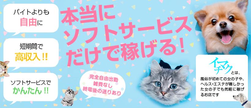 今から乳首を犯しにいってもいいですか？名古屋店の求人