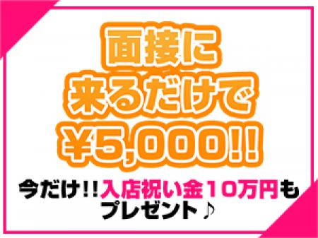 限定特典あり!