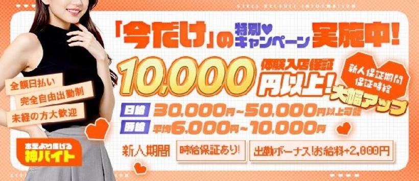 デリピン ハワイの求人