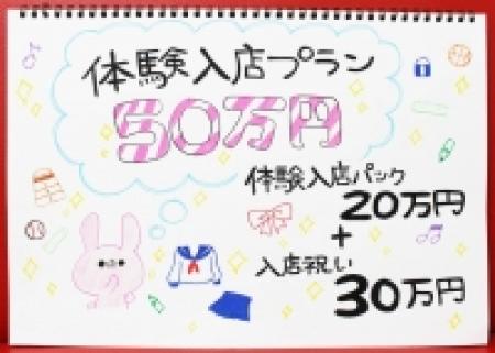 入店後は1日5万円以上お約束致します!