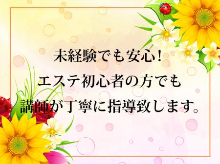 未経験でも安心!