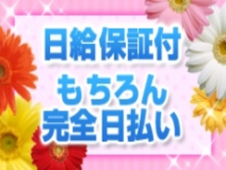 日給保証付！