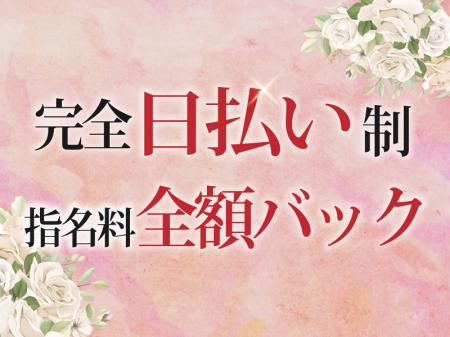 全額日払い制