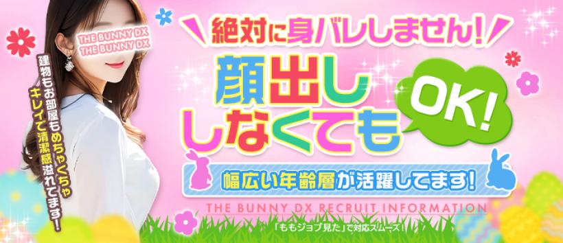 THE・BUNNY　DXの求人
